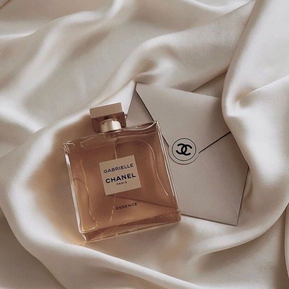 Meet your Posher, Rayne - Picture 1 of 1